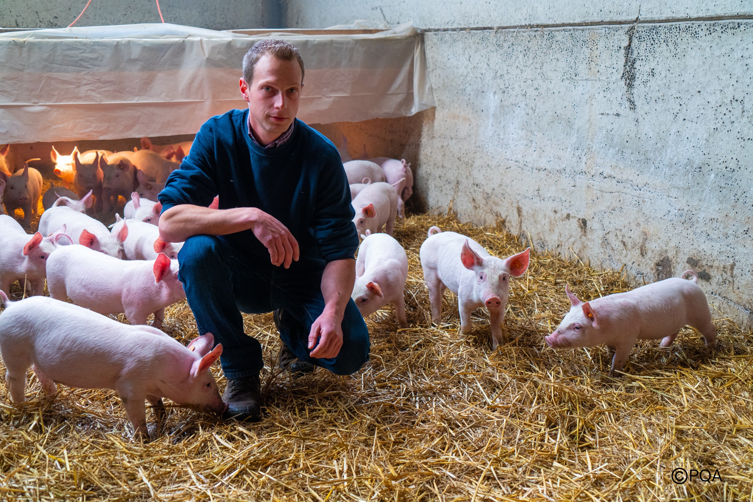 Porc Qualité Ardenne