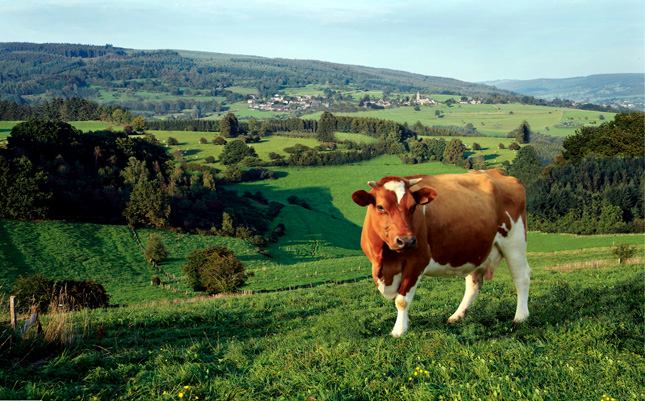 Bioferme - La Fromagerie des Ardennes