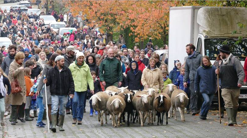 La Ferme du Chant des Cailles