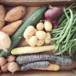 Epicerie Sauvage