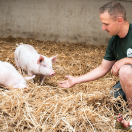 Porc Qualité Ardenne