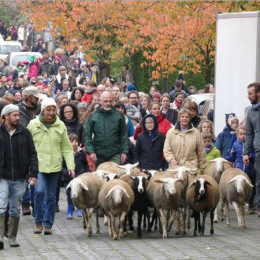 La Ferme du Chant des Cailles