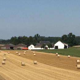 Ferme du Patriote